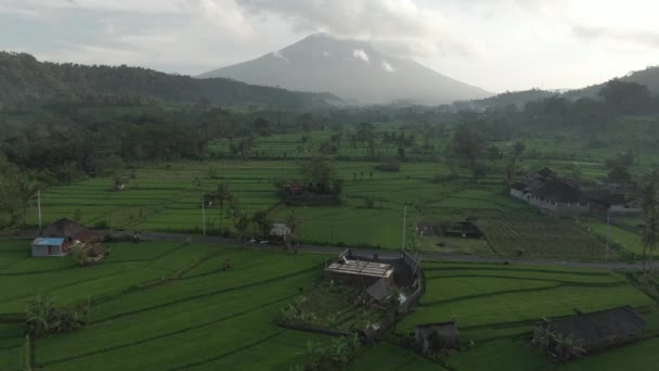 Vedere aeriană a văii verzi lângă munții din Bali, Indonezia. Zburând cu drone deasupra câmpurilor de orez, palmieri și case în mediul rural tropical . — Videoclip de stoc
