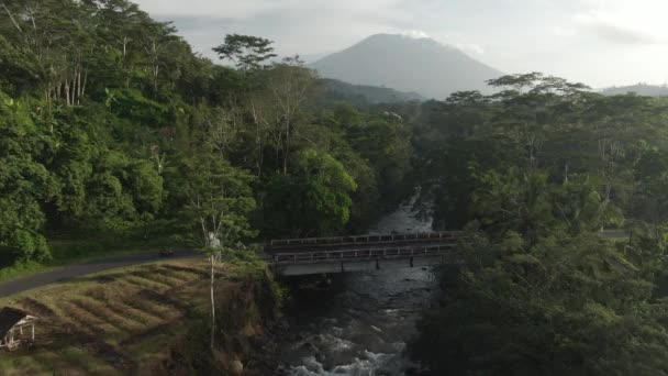 Top View Of Mountain River i drogi wśród palm na Bali, Indonezja. Malowniczy krajobraz w tropikalnej wsi w pobliżu wulkanu. — Wideo stockowe