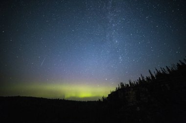 Yıldızlı gökyüzü ile gece orman