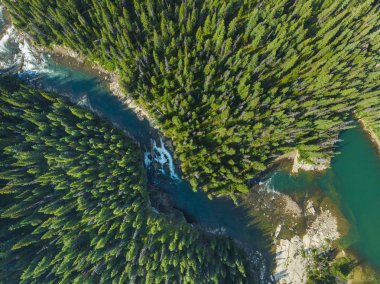 Turkuaz Nehri ile iğne yapraklı orman havadan görünümü