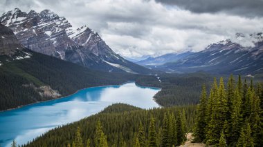 Orman turkuaz nehir ve dağ zemin üzerine