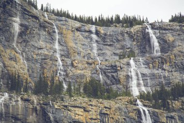 Köknar ağaçları ile yüksek dağlar