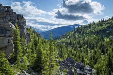 Rocky Dağları ile iğne yapraklı orman ve bulutlu gökyüzü