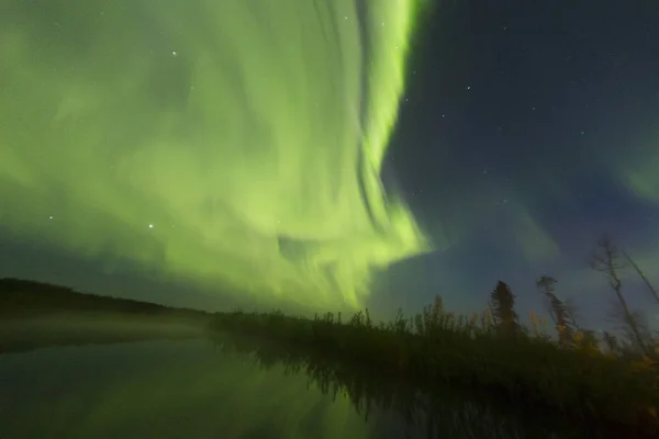 Bosque Del Norte Noche Con Luces Polares — Foto de Stock