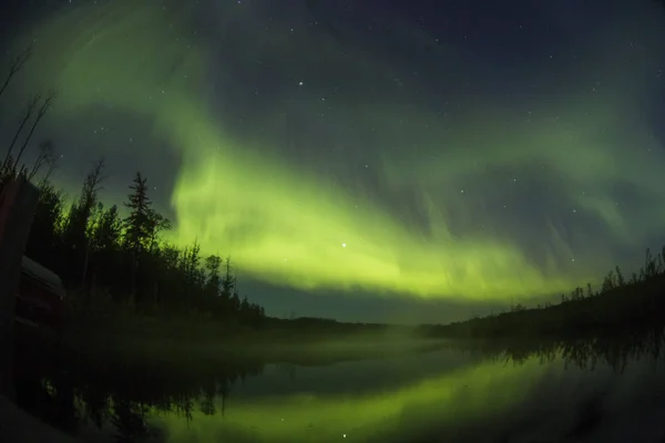 Forêt Nordique Nuit Avec Lumières Polaires — Photo