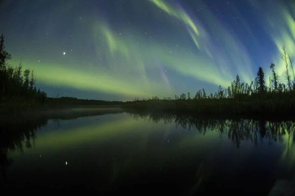 極光の夜の北の森林 — ストック写真