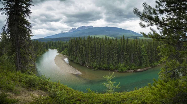 Dramatic Landscape River Firs Trees Blue Cloudy Sky — Stock Photo, Image