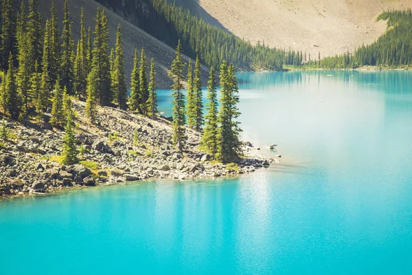 Mount Robson Berg Lake Canada — Stock Photo, Image