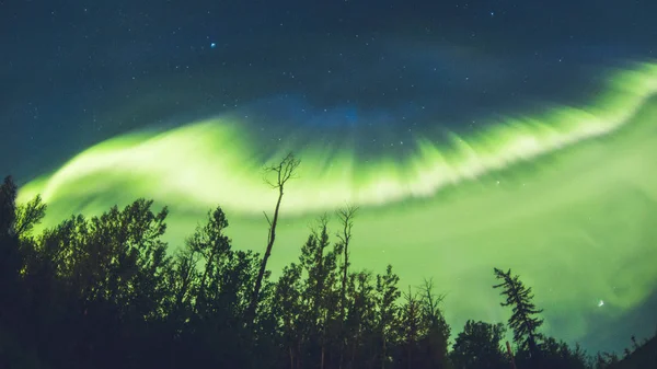 Северный Лес Ночью Полярными Огнями — стоковое фото