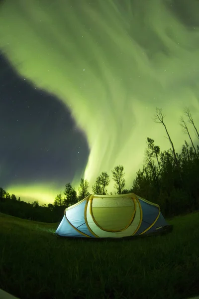 Tente Forêt Nuit Avec Des Lumières Polaires — Photo