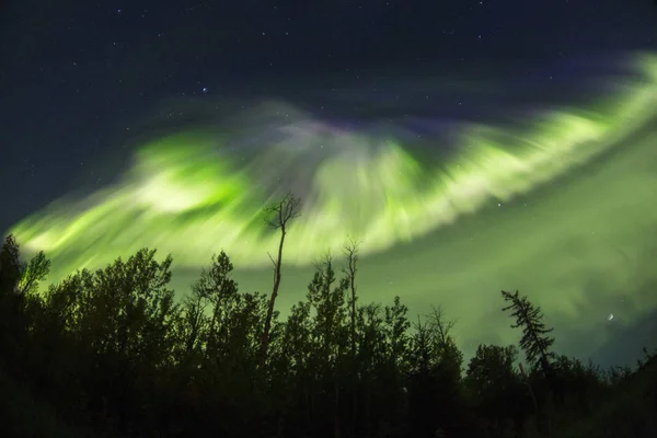 Północnym Lesie Nocy Zorze Polarne — Zdjęcie stockowe