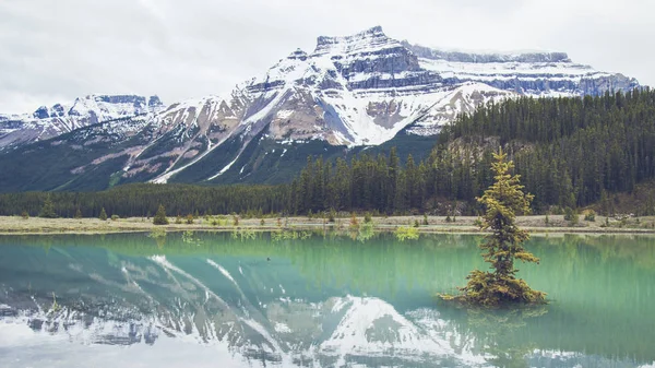 Lago Moraine Turquesa Alberta Canadá — Fotografia de Stock