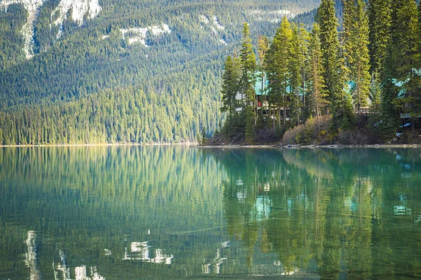 Smooth Turquoise Lake Forest Background — Stock Photo, Image
