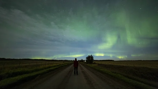 Northern field in night with polar lights