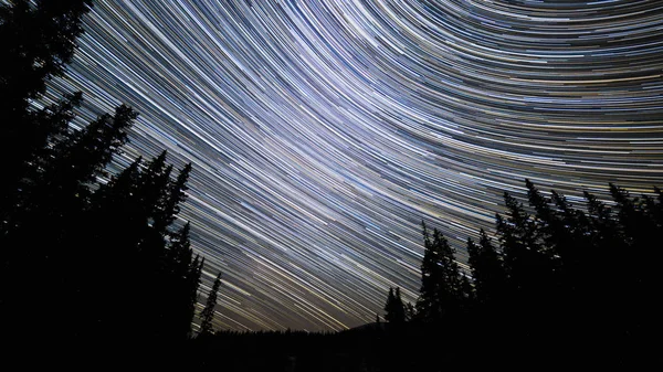 Νύχτα Πνεύμα Δάσος Έναστρο Ουρανό — Φωτογραφία Αρχείου