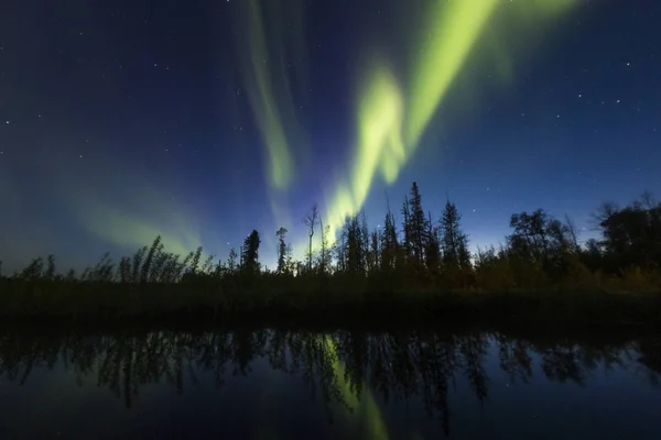 Północnym Lesie Nocy Zorze Polarne — Zdjęcie stockowe