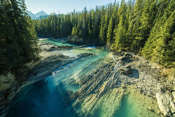 Top View Forest River Rocky Shores — Stock Photo, Image