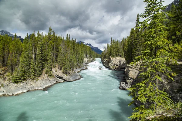 Forest Turquoise River Mountains Background — Stock Photo, Image