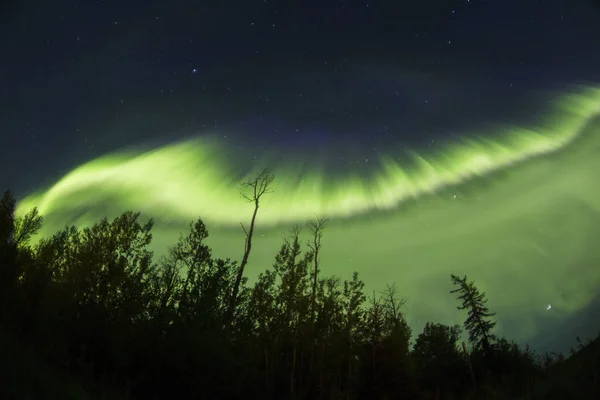 Північний Ліс Вночі Полярними Вогнями — стокове фото