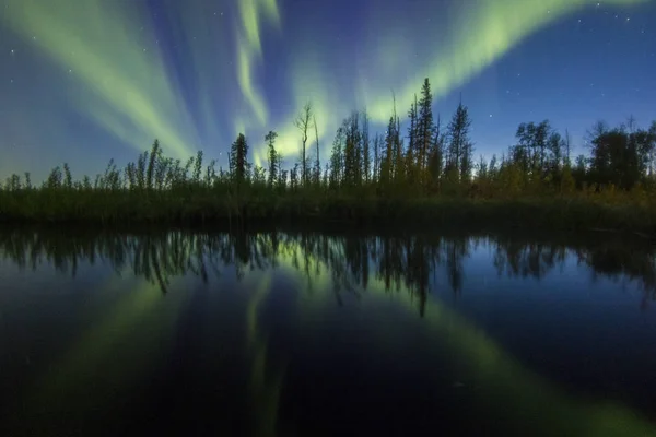 Bosque Del Norte Noche Con Luces Polares — Foto de Stock