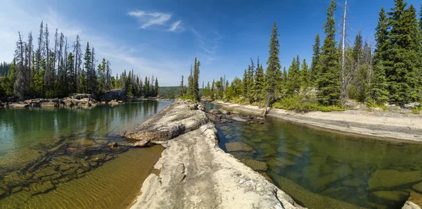 Landscape Rocky River Shore Coniferous Forest — Stock Photo, Image