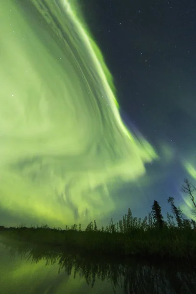 Północnym Lesie Nocy Zorze Polarne — Zdjęcie stockowe