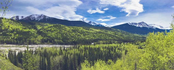 Bright Green Woods Snowy Mountains Background — Stock Photo, Image