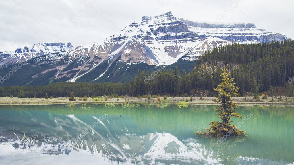 Turquoise Moraine lake Alberta, Canada.