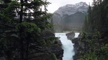 Rocky Dağları üzerinde şelale yeşil ağaçlar ile.
