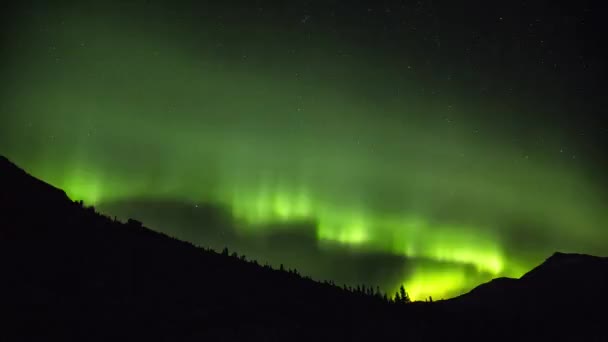 Aurora Borealis Kuzey Işıkları Karlı Kış Alanının Üstündeki — Stok video