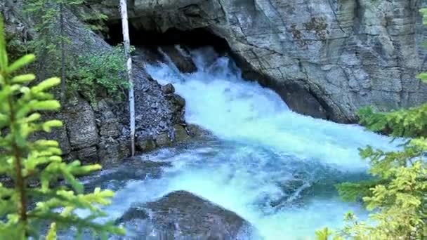 Vattenfall Monkman Provincial Park Kanada — Stockvideo