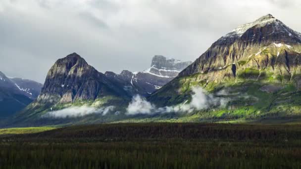 Jasper Park Narodowy Alberta Kanada — Wideo stockowe