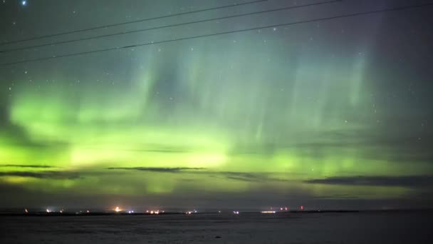 Aurora Borealis Βόρειο Σέλας Πάνω Από Χειμώνα Χιονισμένο Πεδίο — Αρχείο Βίντεο