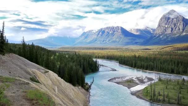 Jasper Nationaal Park Alberta Canada — Stockvideo