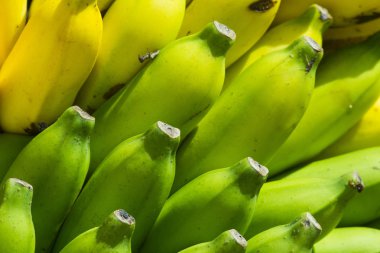 Parlak sarı ve yeşil muz meyve