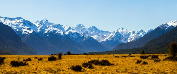 Paysage Automnal Avec Herbe Plantes Séchées Hautes Montagnes Enneigées Sur — Photo