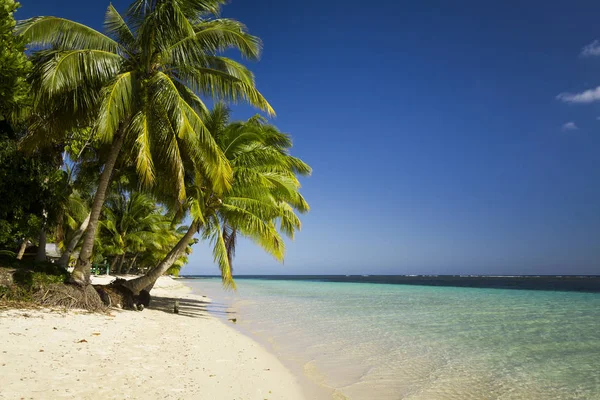 Тропический Остров Бирюзовой Водой Пальмами — стоковое фото