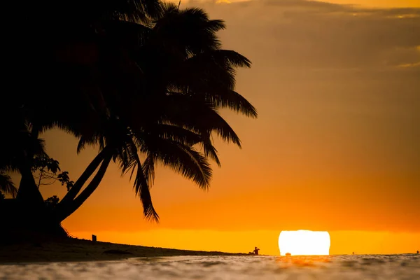 Bright orange sunset with palms trees