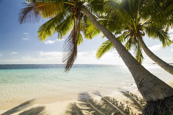 Výhled Přes Tropické Palmy Tyrkysové Moře — Stock fotografie