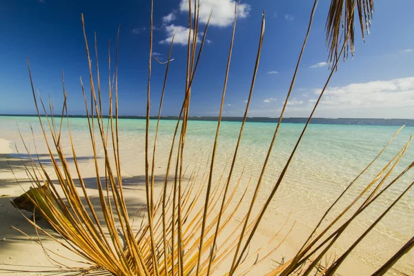Písčitá Tropická Pláž Sušeným Palmovým Listem — Stock fotografie