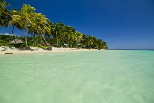 Summertime background of tropical island with coconut palms and sea