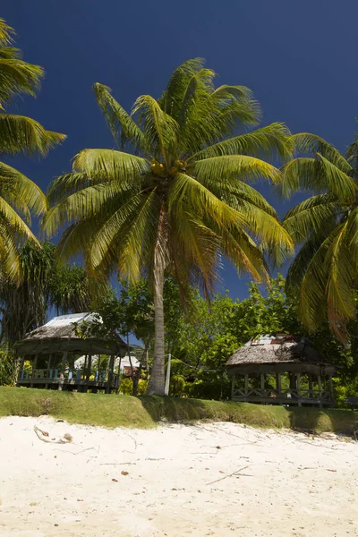 야자수와 바다가 해안의 오두막 — 스톡 사진