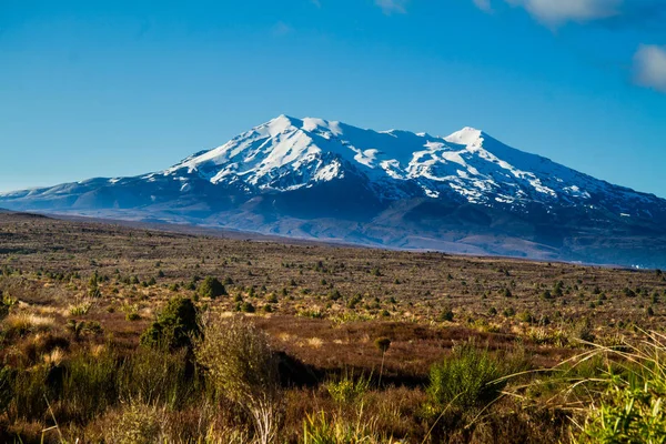 Paisaje Otoñal Con Hierba Seca Plantas Altas Montañas Nevadas Sobre —  Fotos de Stock