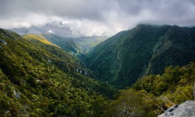 Yemyeşil ağaçlarla kaplı yüksek dağlar