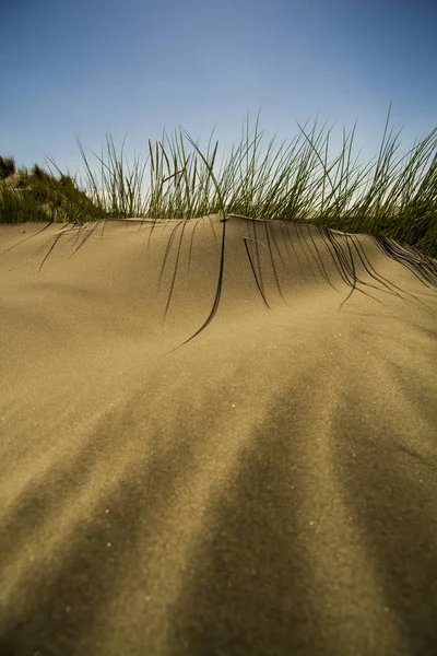 Sanddyner Med Klar Sand — Stockfoto