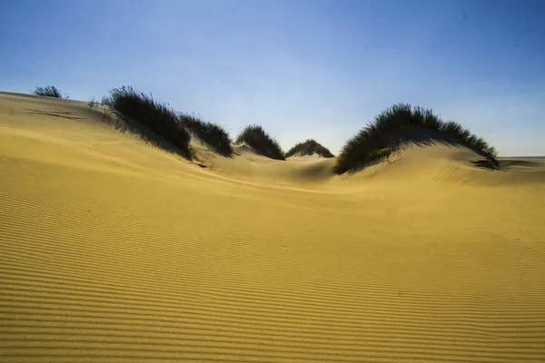 Песчаные Дюны Чистым Песком — стоковое фото