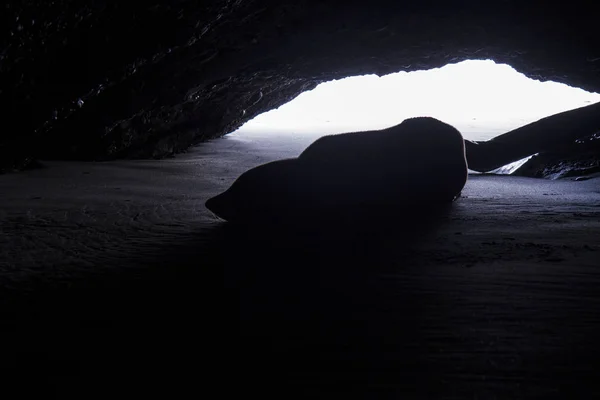 View Cave Beach — Stock Photo, Image