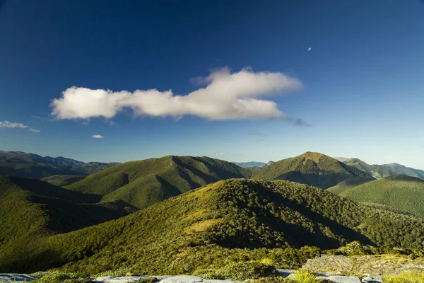 Hautes Montagnes Couvertes Arbres Verts Luxuriants — Photo