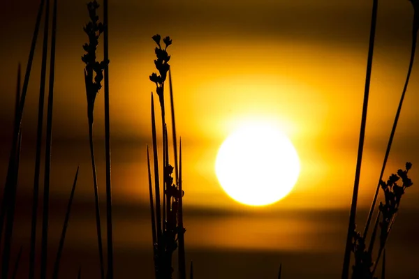Оранжевое Небо Прячущимся Солнцем Закате — стоковое фото