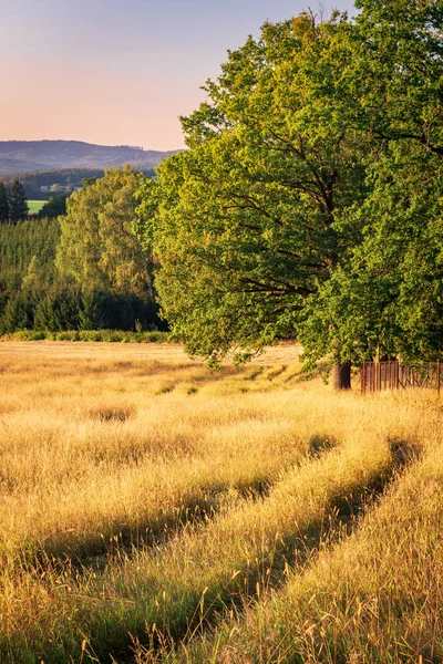 View of beautiful rural scene during golden hour. Tranquil scenics